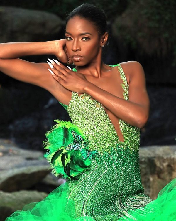 Papillon vert- S.Merritt  Collection Prom Dress - Image 4