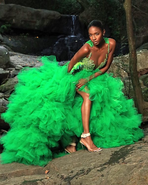 Papillon vert- S.Merritt  Collection Prom Dress - Image 3